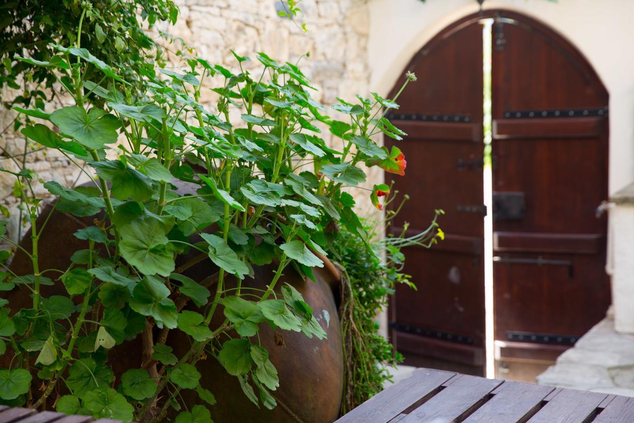 הוילה Dhoros The Old Olive Mill House By Trulycyprus מראה חיצוני תמונה