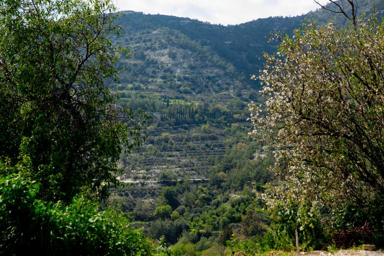 הוילה Dhoros The Old Olive Mill House By Trulycyprus מראה חיצוני תמונה